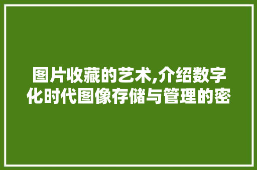 图片收藏的艺术,介绍数字化时代图像存储与管理的密码