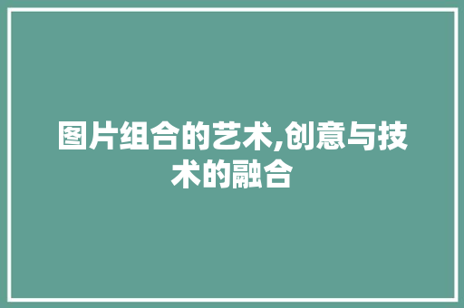 图片组合的艺术,创意与技术的融合 服务器/数据库