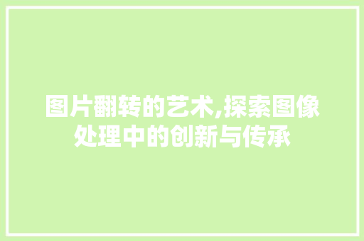 图片翻转的艺术,探索图像处理中的创新与传承 服务器/数据库