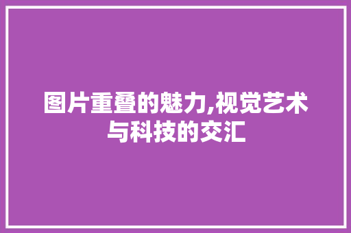 图片重叠的魅力,视觉艺术与科技的交汇 友链在线