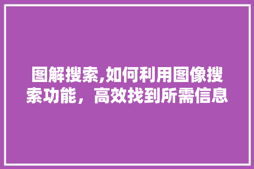 图解搜索,如何利用图像搜索功能，高效找到所需信息