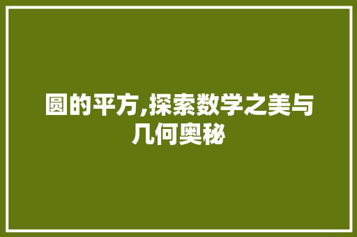 圆的平方,探索数学之美与几何奥秘 Web前端