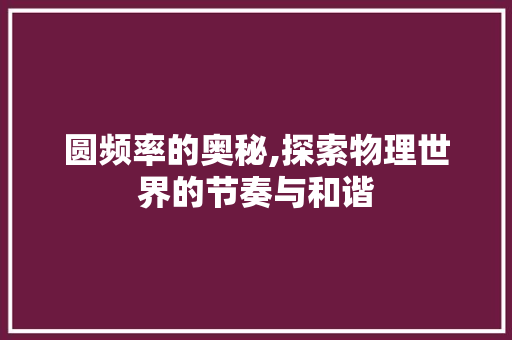 圆频率的奥秘,探索物理世界的节奏与和谐