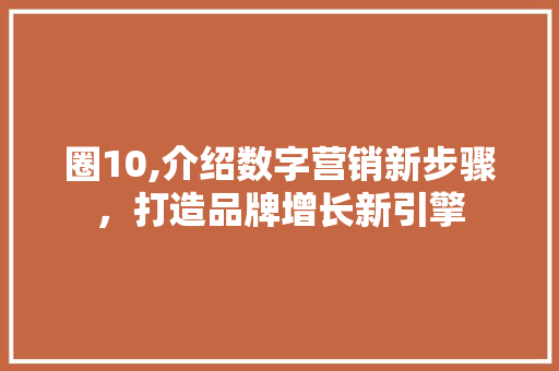 圈10,介绍数字营销新步骤，打造品牌增长新引擎