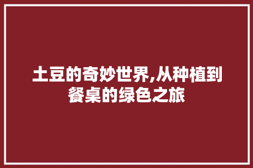 土豆的奇妙世界,从种植到餐桌的绿色之旅