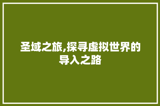 圣域之旅,探寻虚拟世界的导入之路 WordPress教程