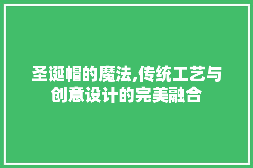 圣诞帽的魔法,传统工艺与创意设计的完美融合 WordPress教程