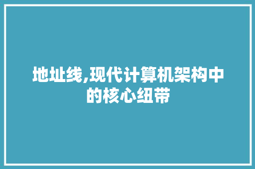 地址线,现代计算机架构中的核心纽带 服务器/数据库