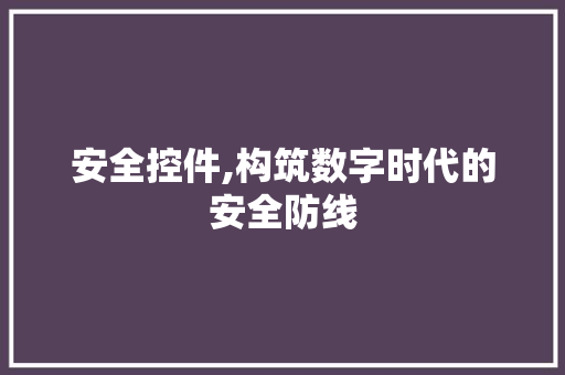 安全控件,构筑数字时代的安全防线