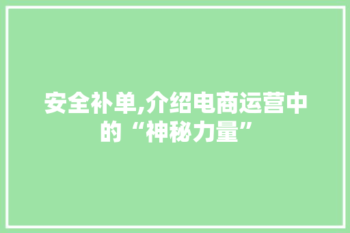 安全补单,介绍电商运营中的“神秘力量”