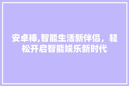 安卓棒,智能生活新伴侣，轻松开启智能娱乐新时代