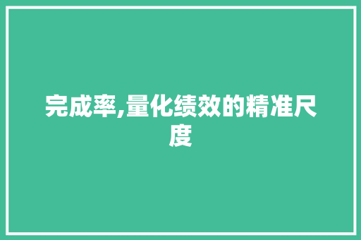 完成率,量化绩效的精准尺度