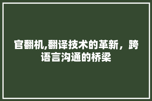 官翻机,翻译技术的革新，跨语言沟通的桥梁