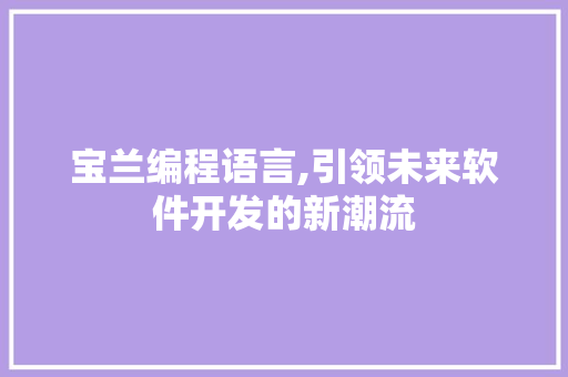 宝兰编程语言,引领未来软件开发的新潮流
