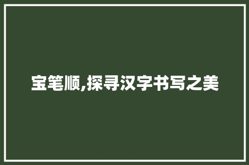 宝笔顺,探寻汉字书写之美