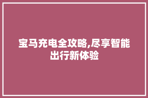 宝马充电全攻略,尽享智能出行新体验