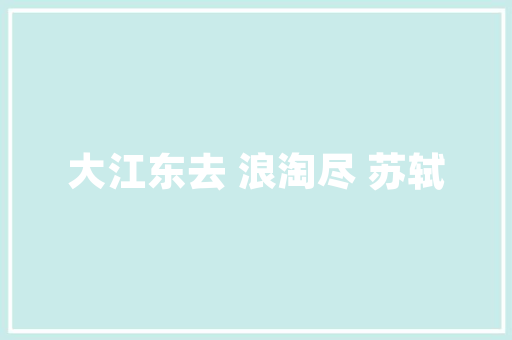 实名宝,新时代金融安全与便捷的守护神 友链在线