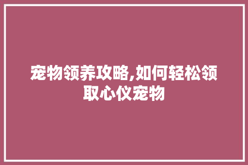 宠物领养攻略,如何轻松领取心仪宠物