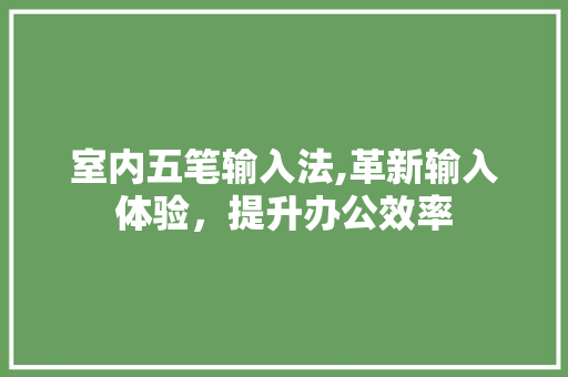 室内五笔输入法,革新输入体验，提升办公效率