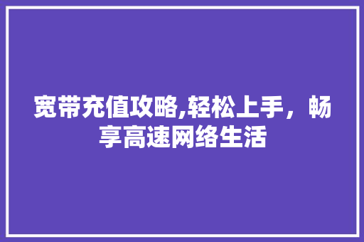 宽带充值攻略,轻松上手，畅享高速网络生活