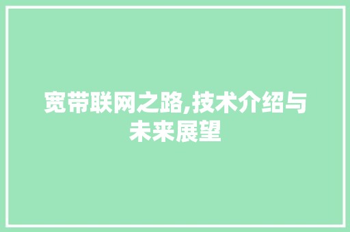 宽带联网之路,技术介绍与未来展望