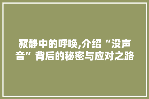 寂静中的呼唤,介绍“没声音”背后的秘密与应对之路