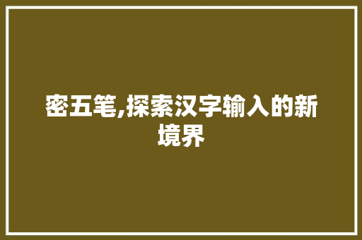 密五笔,探索汉字输入的新境界