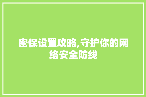密保设置攻略,守护你的网络安全防线