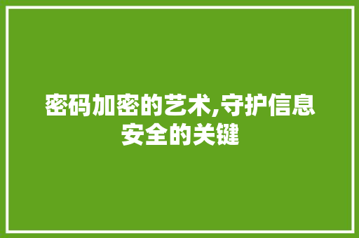 密码加密的艺术,守护信息安全的关键