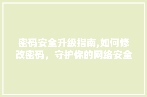 密码安全升级指南,如何修改密码，守护你的网络安全