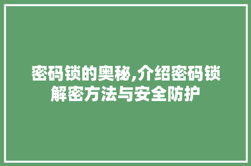 密码锁的奥秘,介绍密码锁解密方法与安全防护