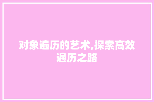 对象遍历的艺术,探索高效遍历之路
