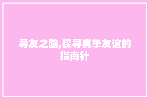 寻友之路,探寻真挚友谊的指南针