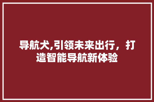 导航犬,引领未来出行，打造智能导航新体验