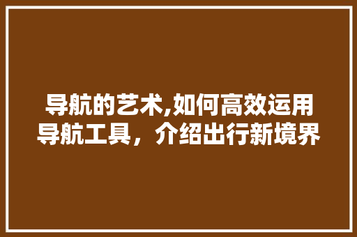 导航的艺术,如何高效运用导航工具，介绍出行新境界