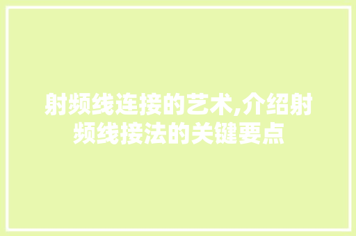 射频线连接的艺术,介绍射频线接法的关键要点
