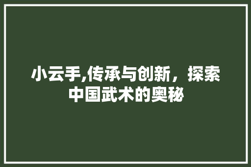 小云手,传承与创新，探索中国武术的奥秘 SEO教程