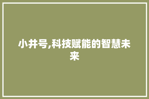 小井号,科技赋能的智慧未来