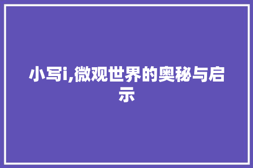 小写i,微观世界的奥秘与启示