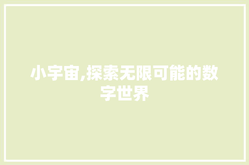 小宇宙,探索无限可能的数字世界 SEO教程