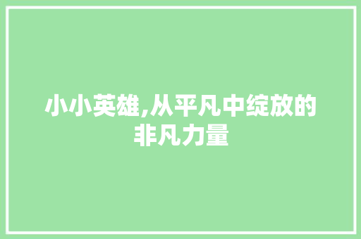 小小英雄,从平凡中绽放的非凡力量