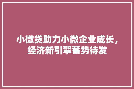 小微贷助力小微企业成长，经济新引擎蓄势待发