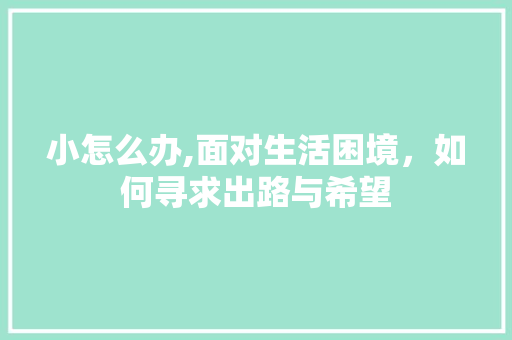 小怎么办,面对生活困境，如何寻求出路与希望
