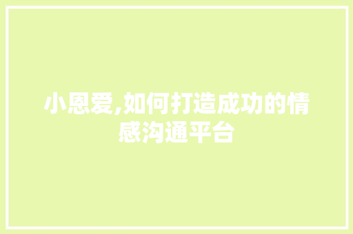 小恩爱,如何打造成功的情感沟通平台