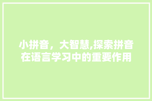 小拼音，大智慧,探索拼音在语言学习中的重要作用