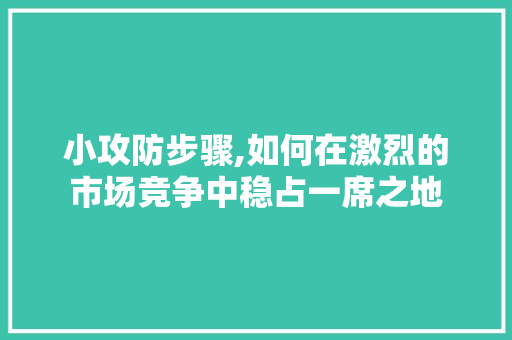 小攻防步骤,如何在激烈的市场竞争中稳占一席之地