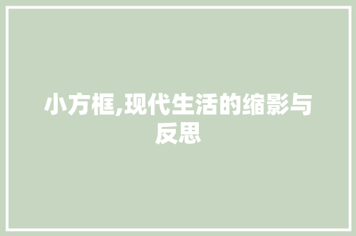 小方框,现代生活的缩影与反思