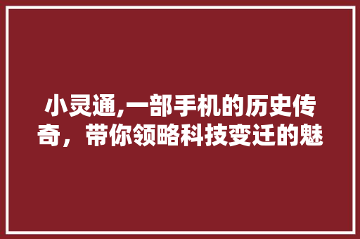 小灵通,一部手机的历史传奇，带你领略科技变迁的魅力