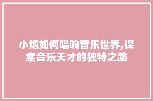 小炮如何唱响音乐世界,探索音乐天才的独特之路