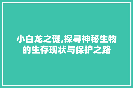 小白龙之谜,探寻神秘生物的生存现状与保护之路